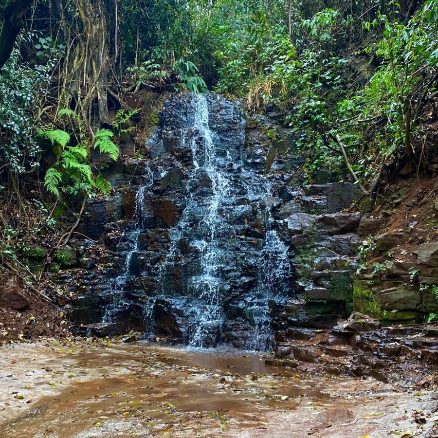 Hotel Chales Cachoeira 3 Quedas โบรตัส ภายนอก รูปภาพ