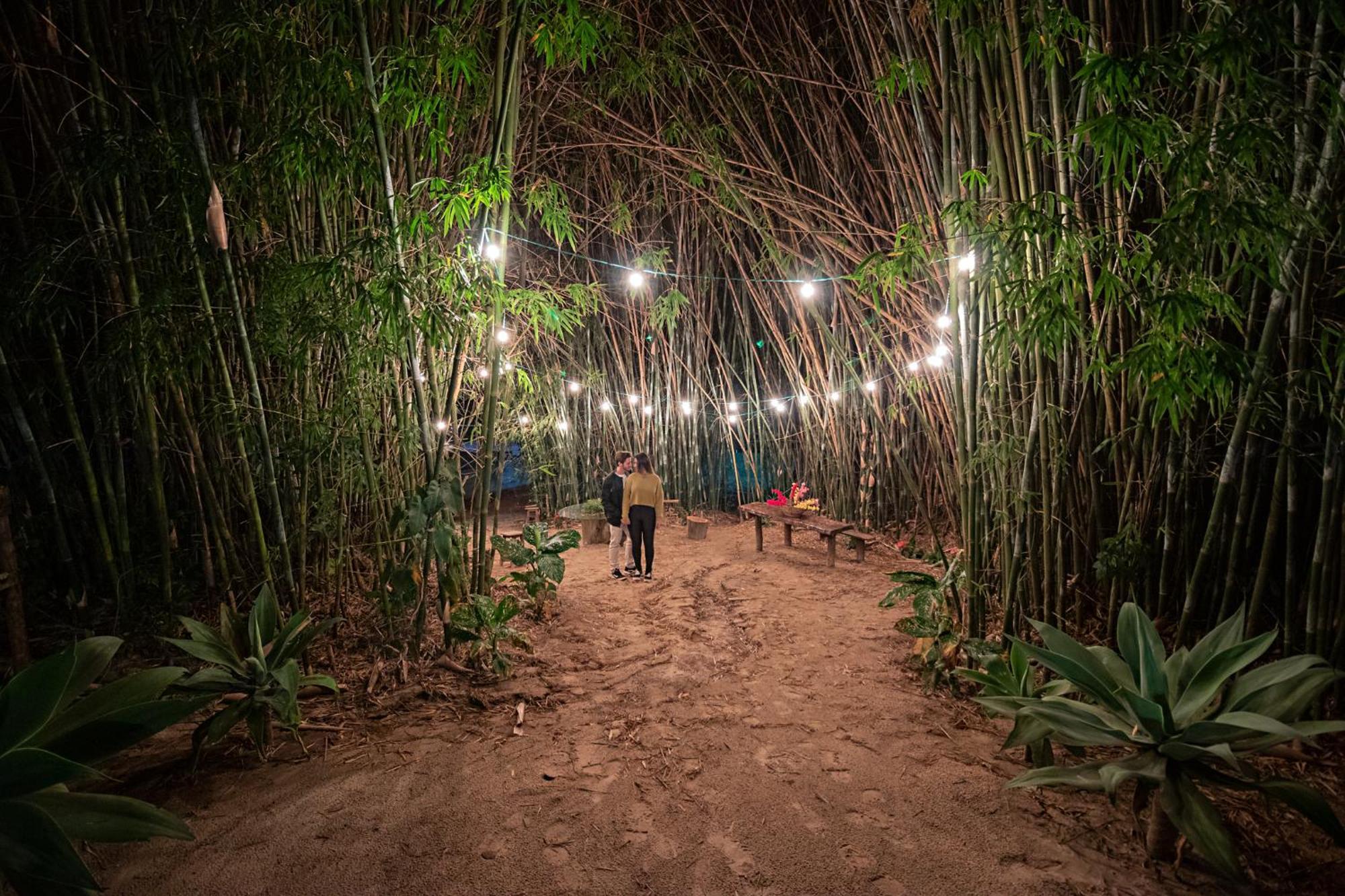 Hotel Chales Cachoeira 3 Quedas โบรตัส ภายนอก รูปภาพ